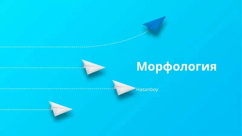 Морфология