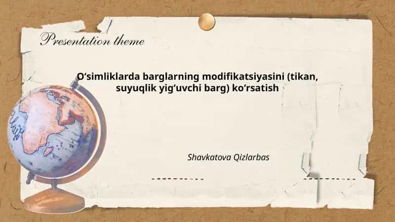 Oʻsimliklarda Barglarning Modifikatsiyasi