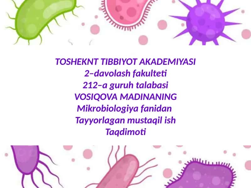 Komplement tizimi
