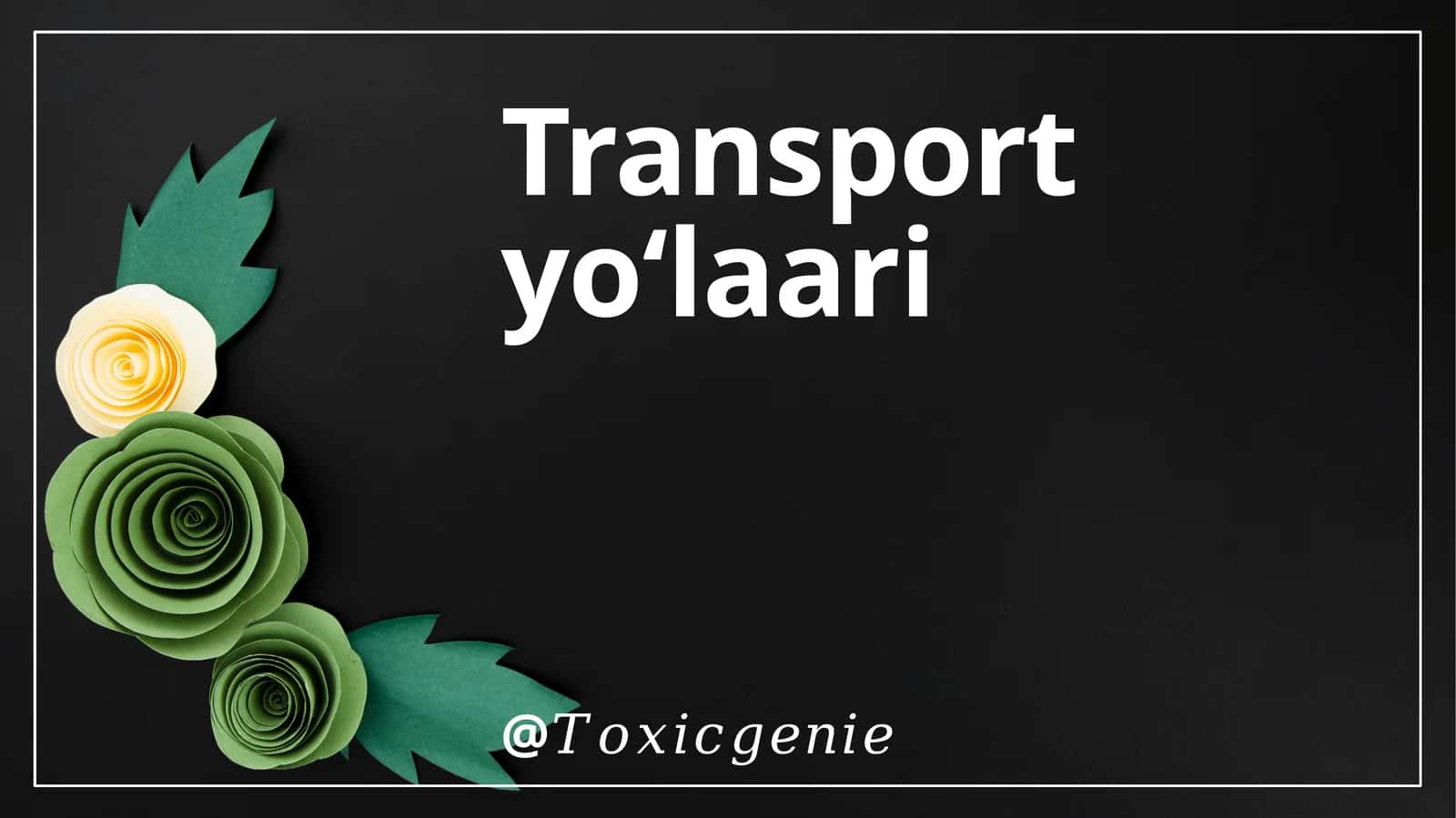 Transport Yo'llari