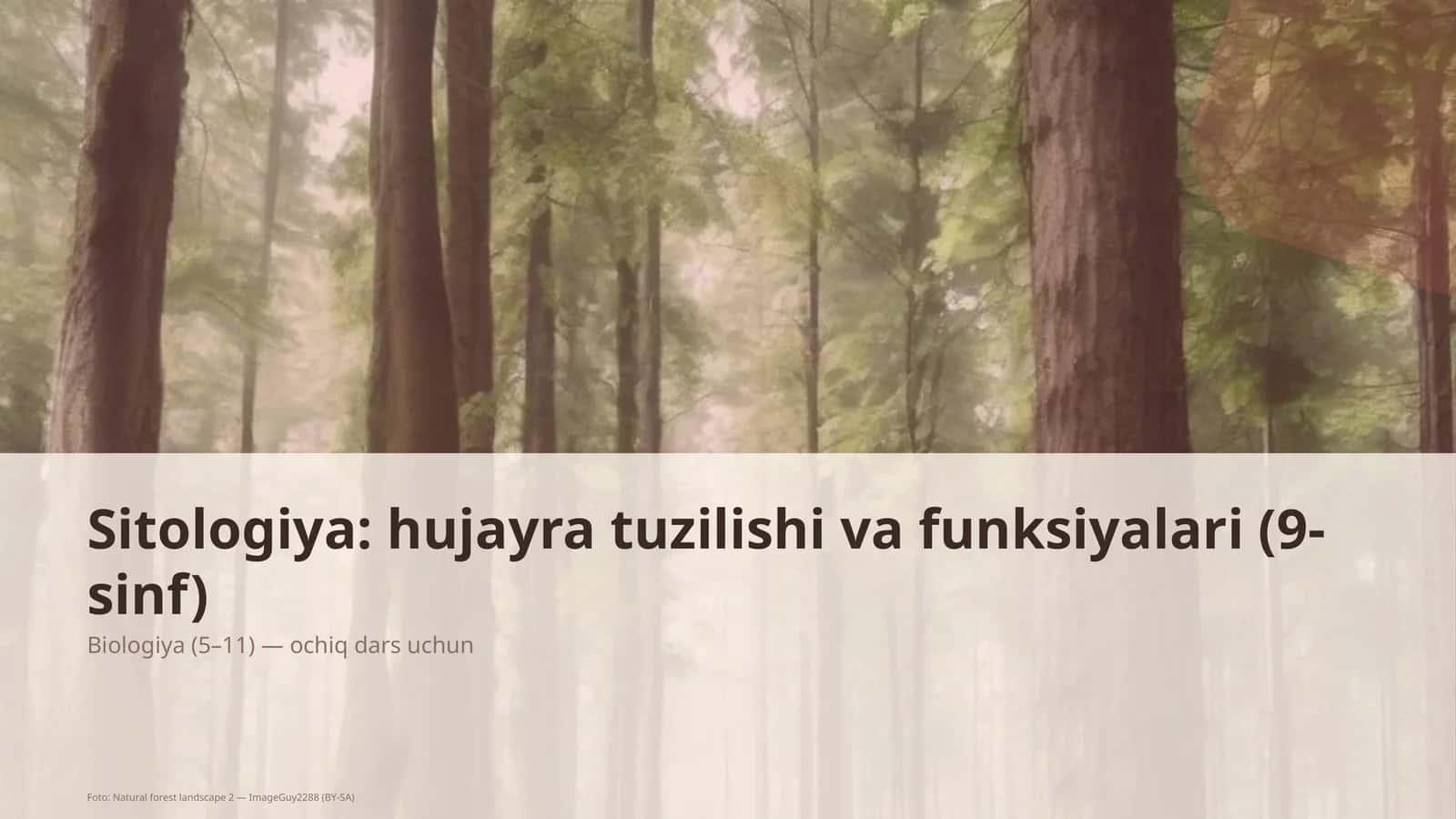 Sitologiya: hujayra tuzilishi va funksiyalari (9-sinf)
