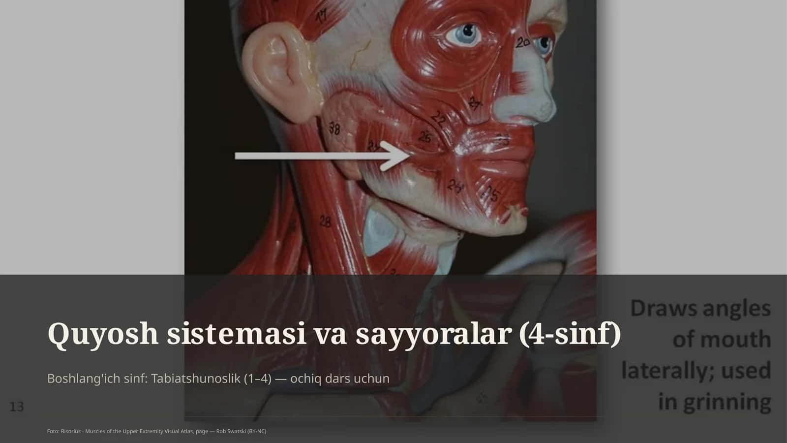 Quyosh sistemasi va sayyoralar (4-sinf)