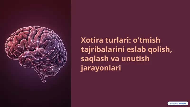 Xotira turlari: o'tmish tajribalarini eslab qolish, saqlash va unutish jarayonlari