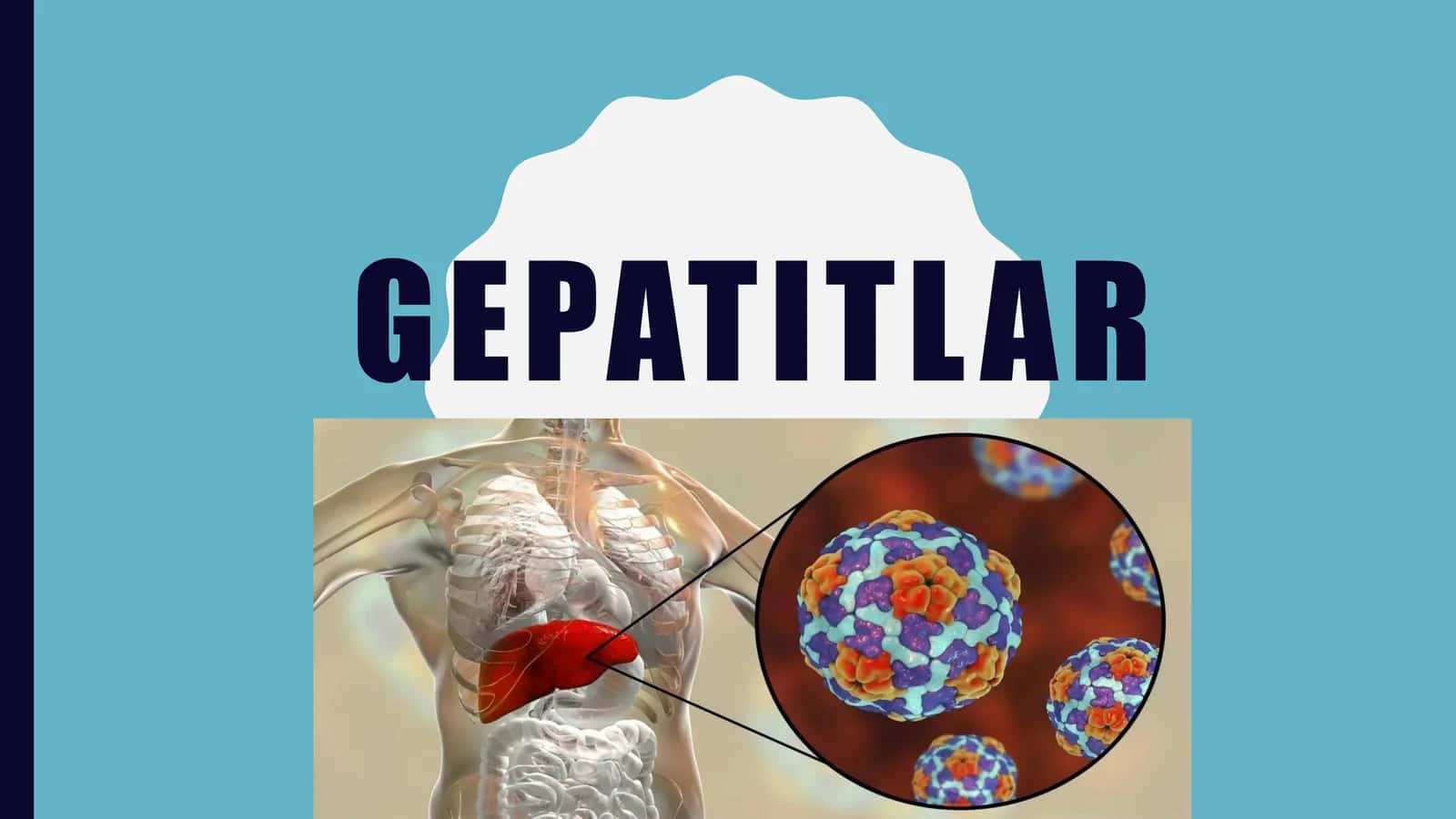 Gepatitlar