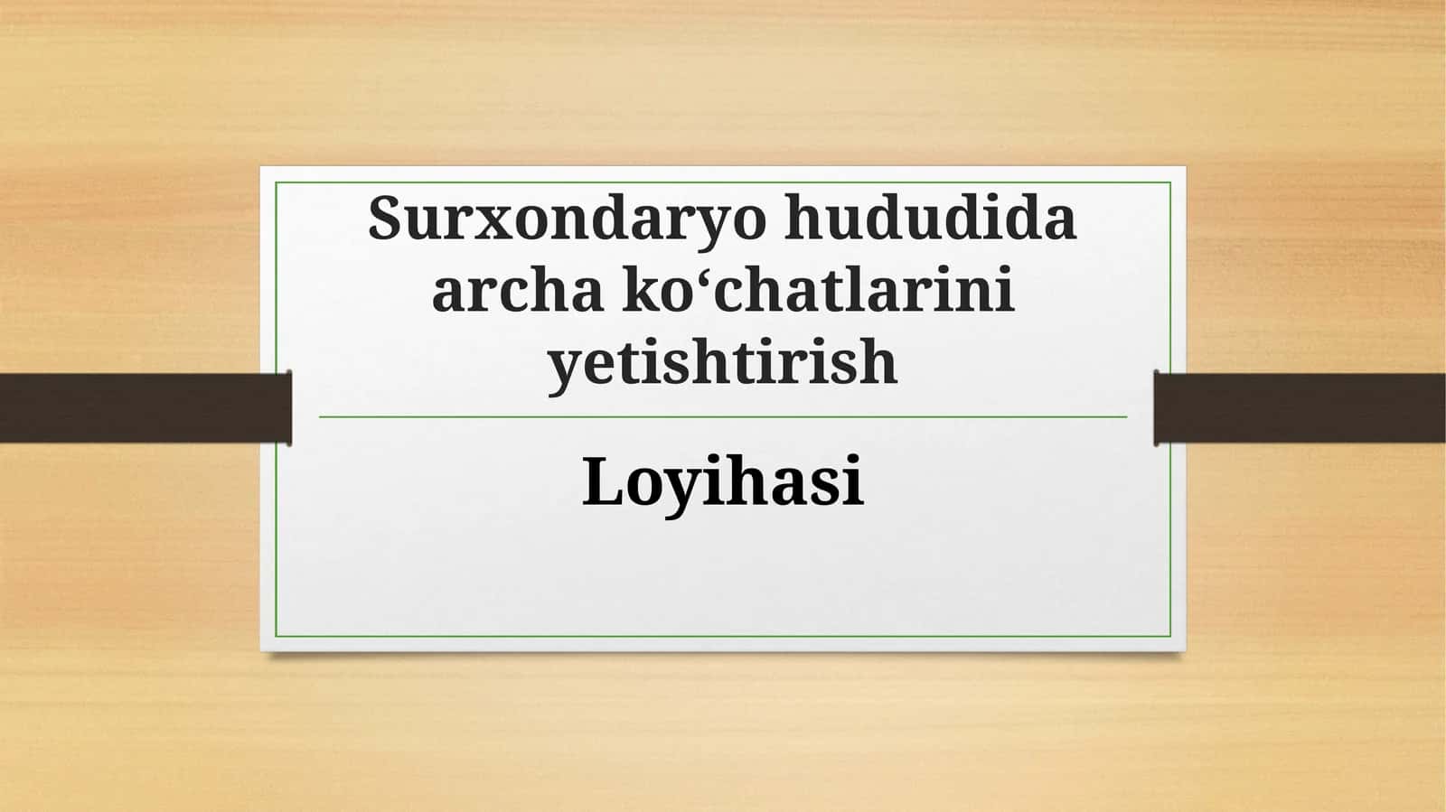 (100 millionlik loyiha ishi) Surxondaryohududida archa ko‘chatlarini yetishtirish Loyihasi