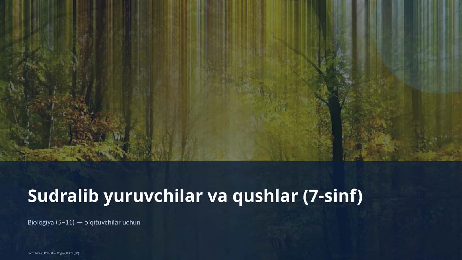 Sudralib yuruvchilar va qushlar (7-sinf)