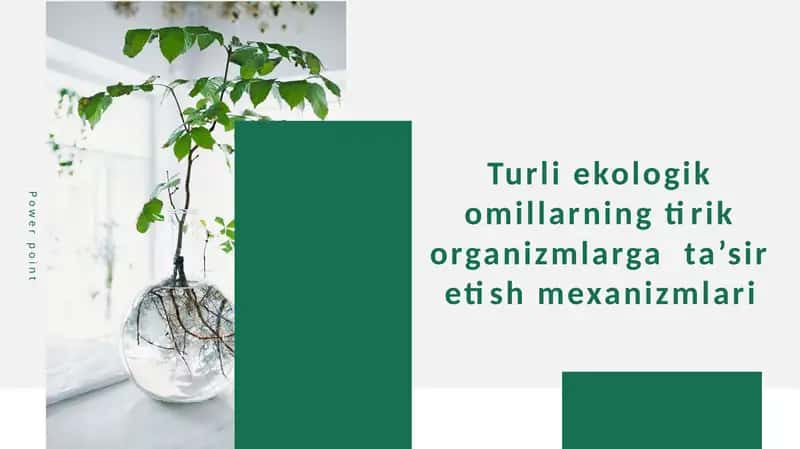 Turli ekologik omillarning tirik organizmlarga  ta’sir etish mexanizmlari