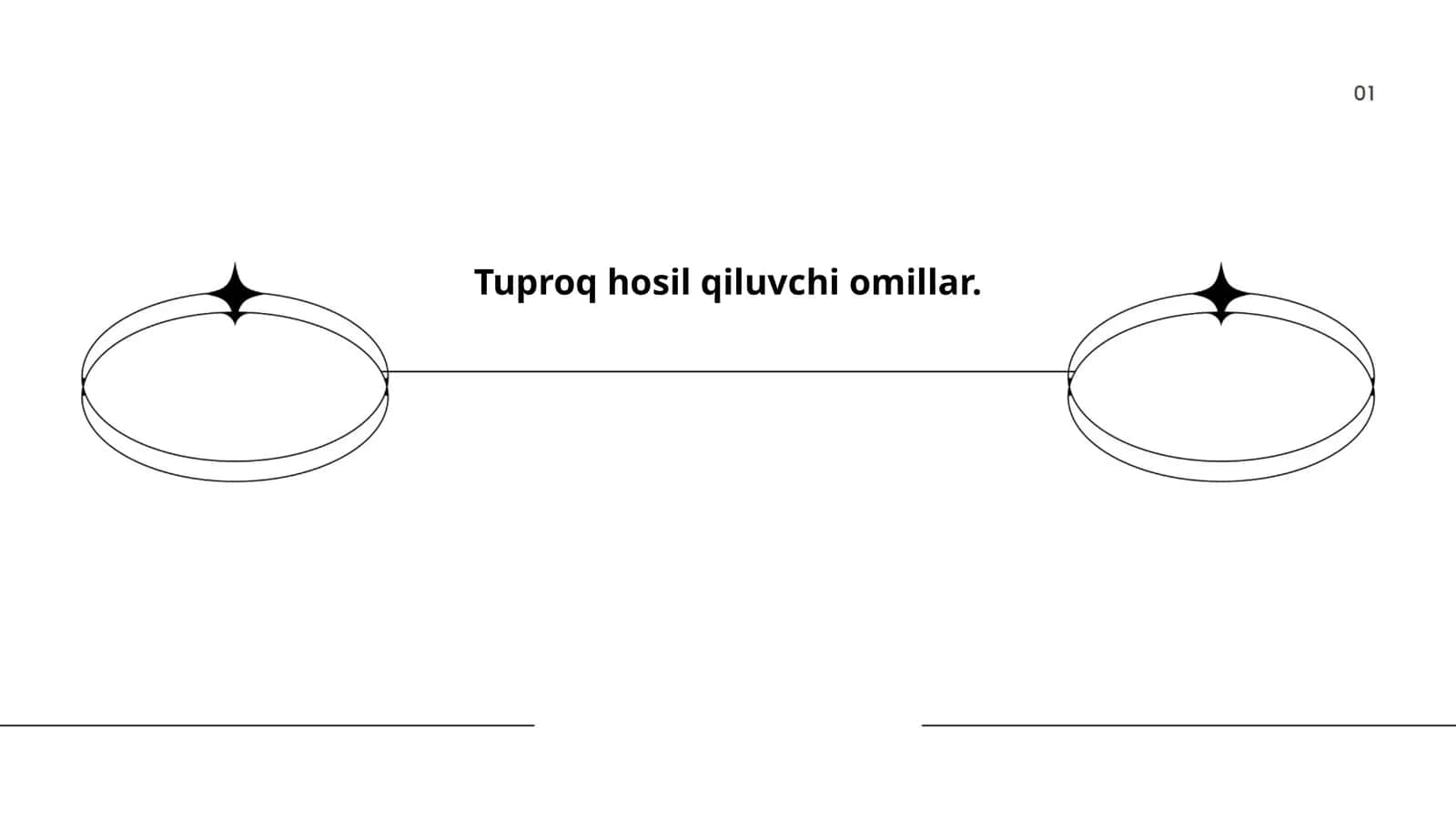 Tuproq hosil qiluvchi omillar