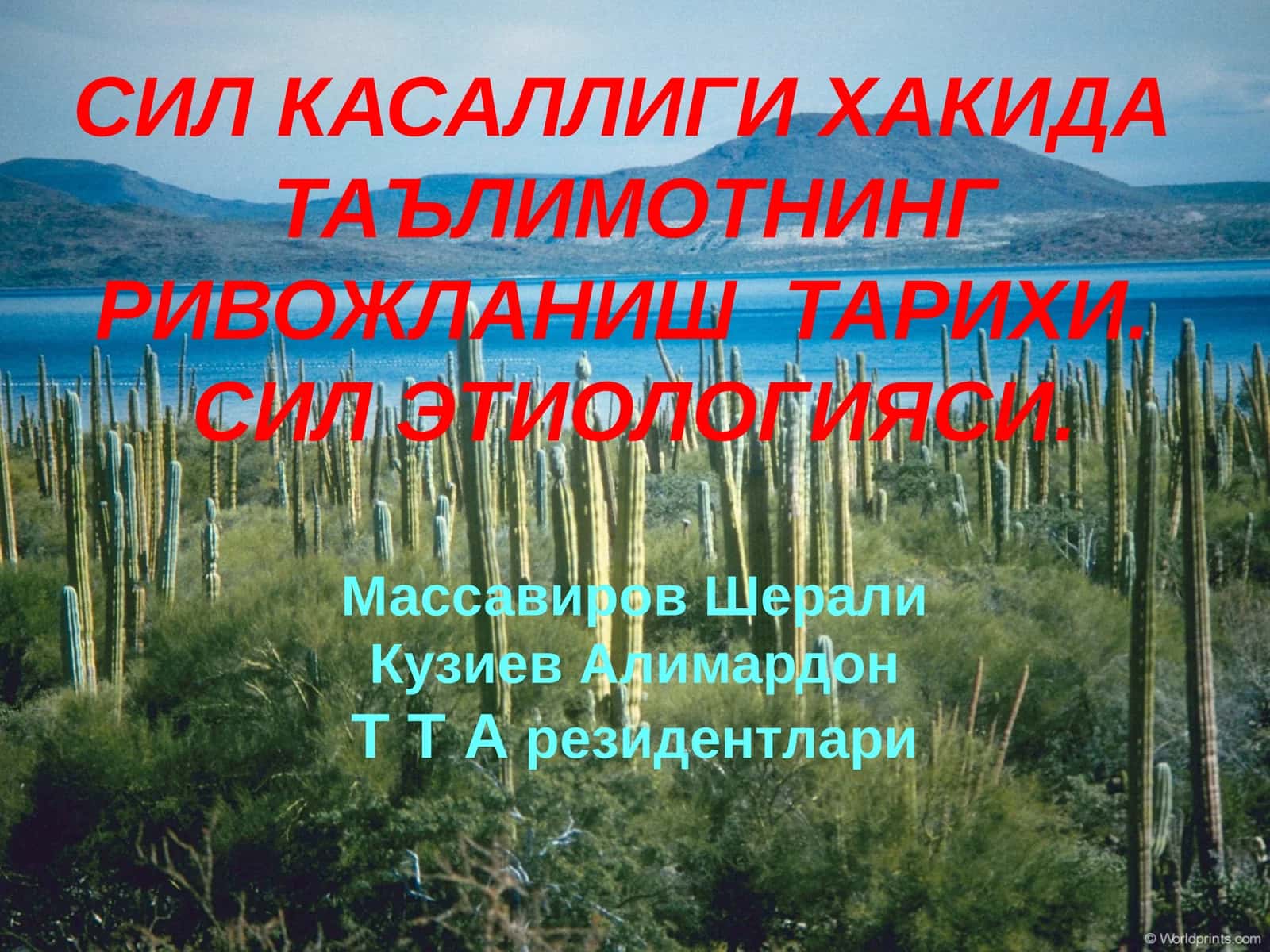 Сил касаллиги ҳақида таълимот