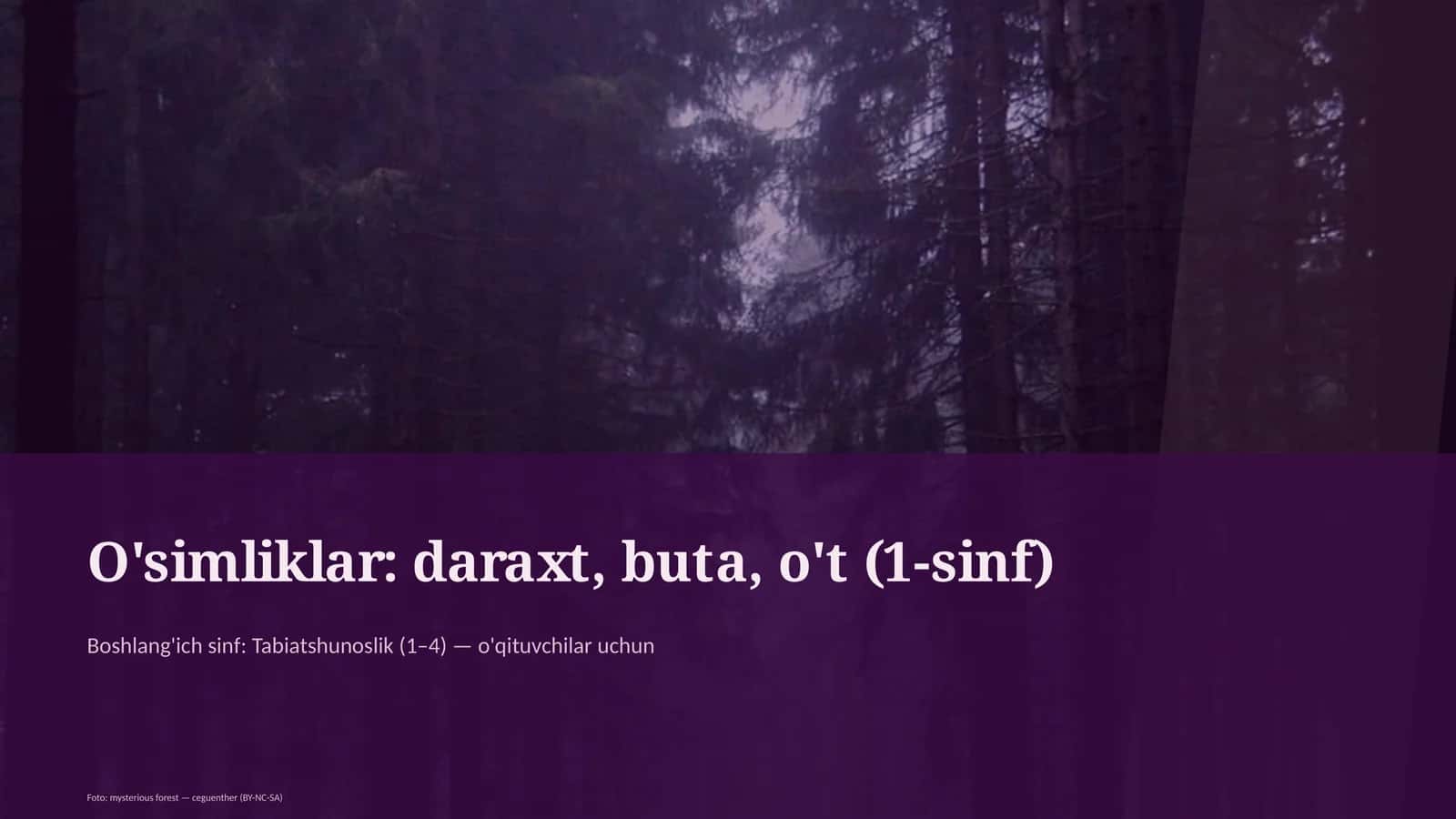 O'simliklar: daraxt, buta, o't (1-sinf)