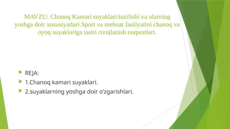 Chanoq Kamarisuyaklari