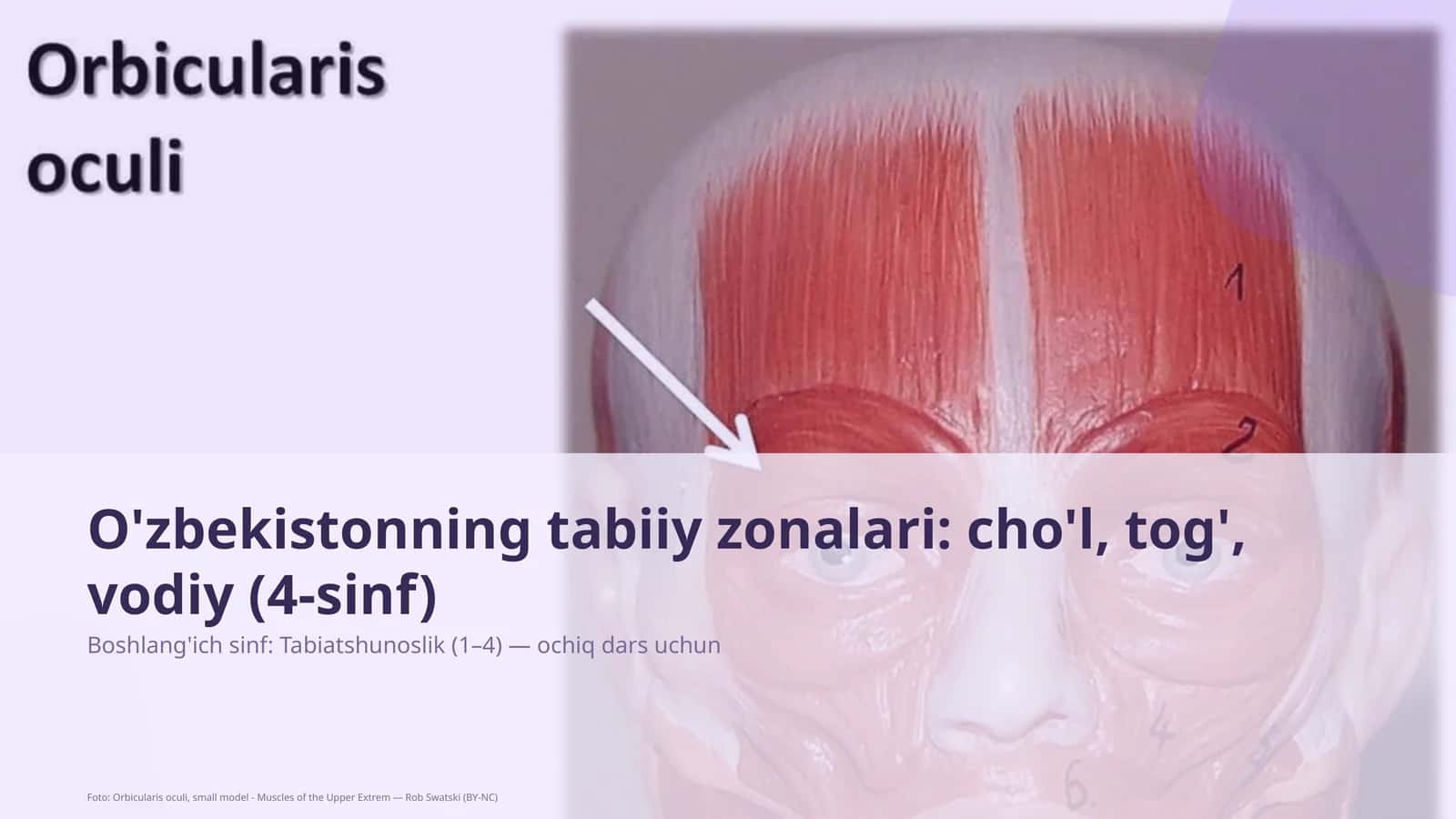 O'zbekistonning tabiiy zonalari: cho'l, tog', vodiy (4-sinf)