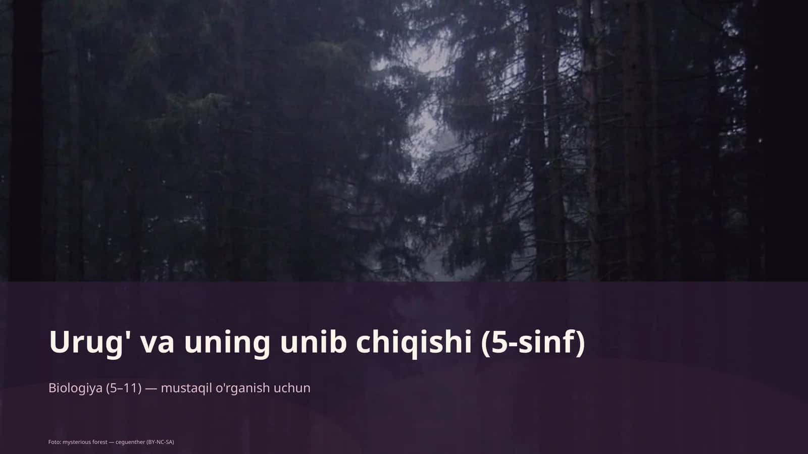 Urug' va uning unib chiqishi (5-sinf)