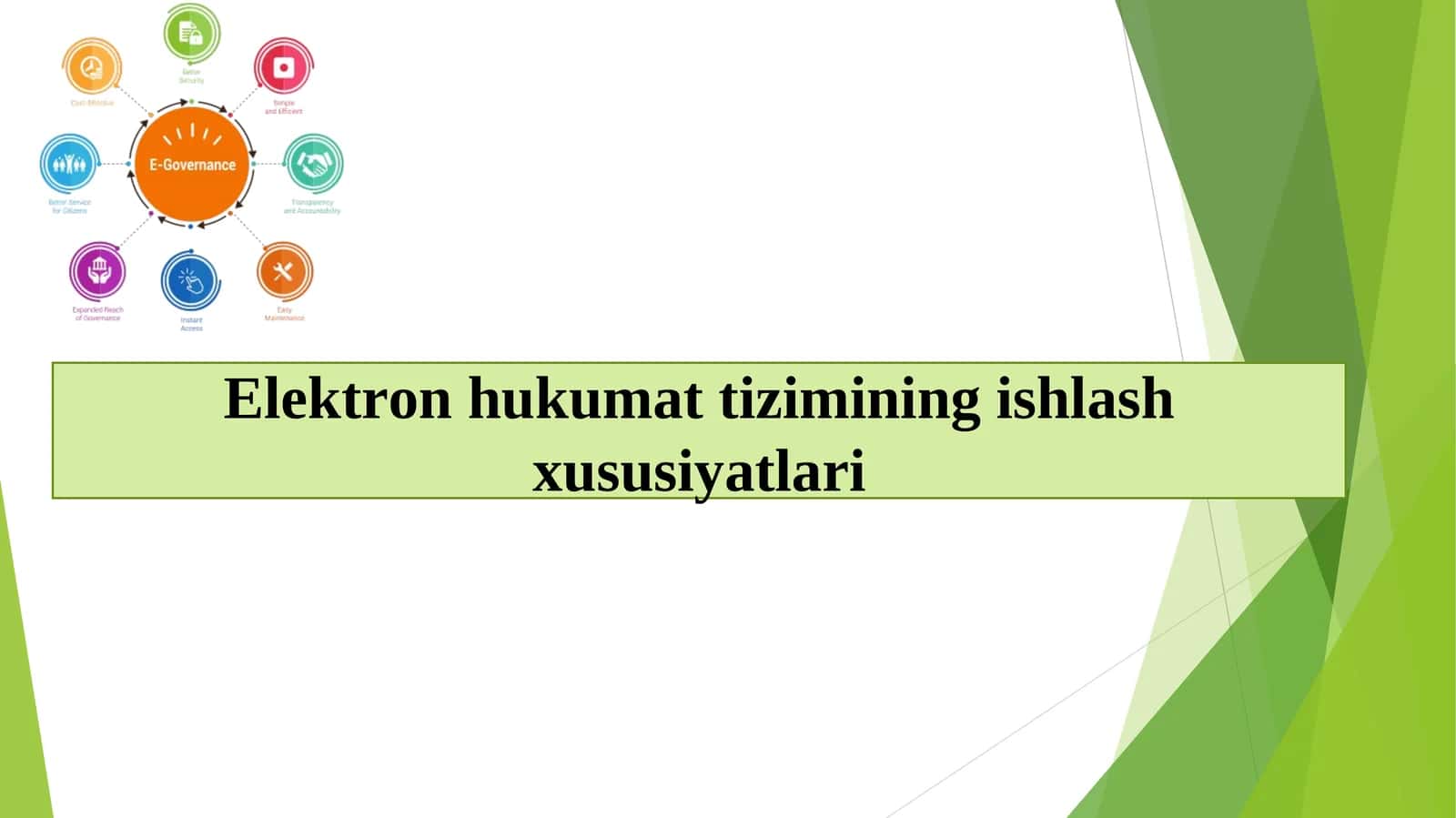Elektron hukumat tizimining ishlash xususiyatlari