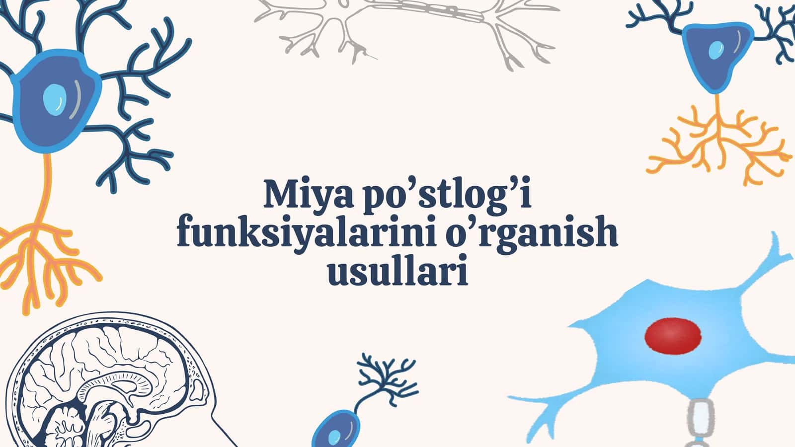 Miya po’stlog’i funksiyalarini o’rganish usullari