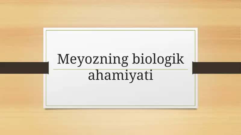 Meyozning biologik ahamiyati