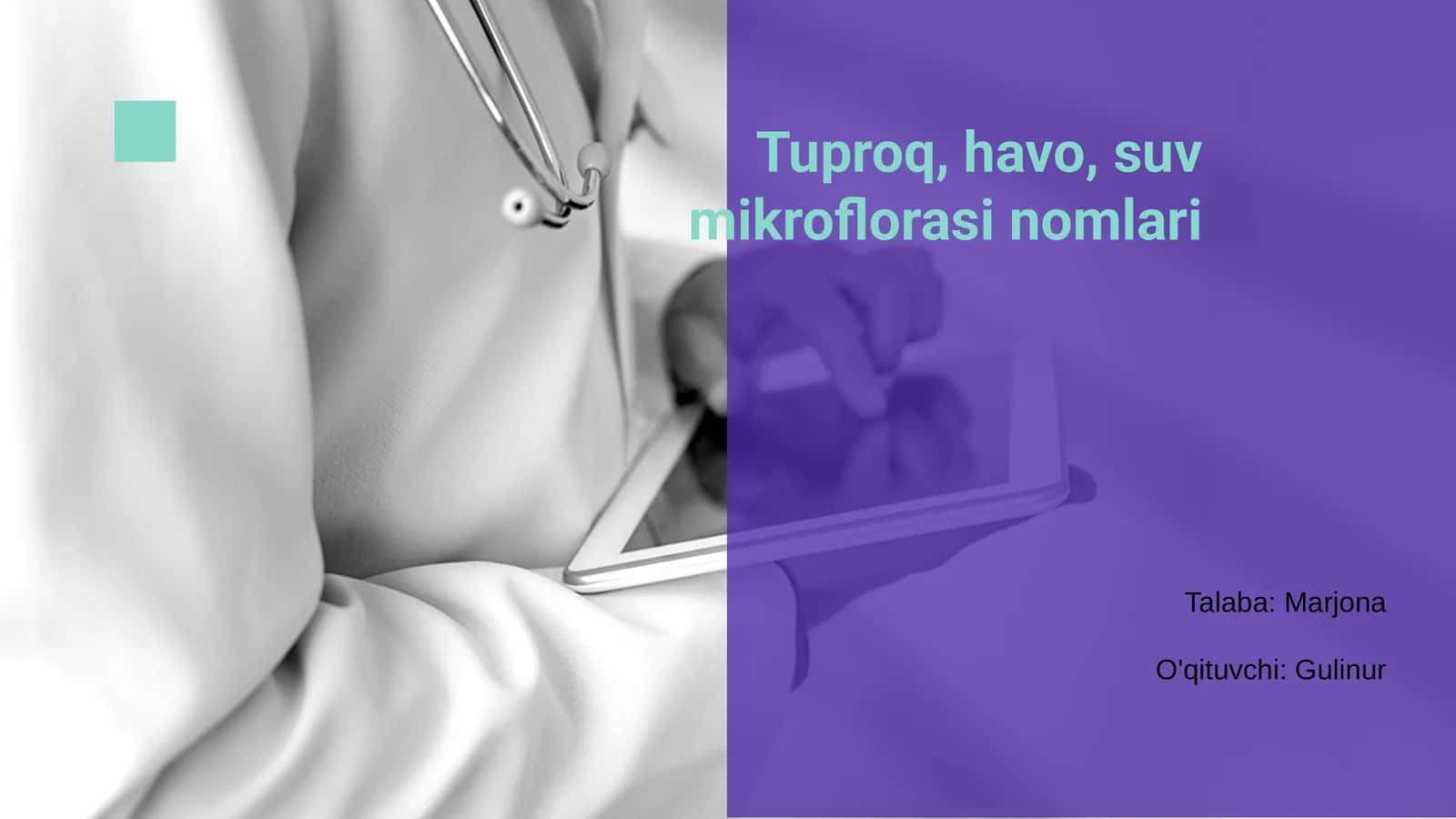 Tubqo, havo, suv mikroflorasi nomlari