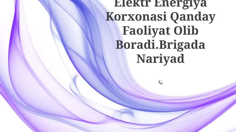 Elektr Energiya Korxonasi