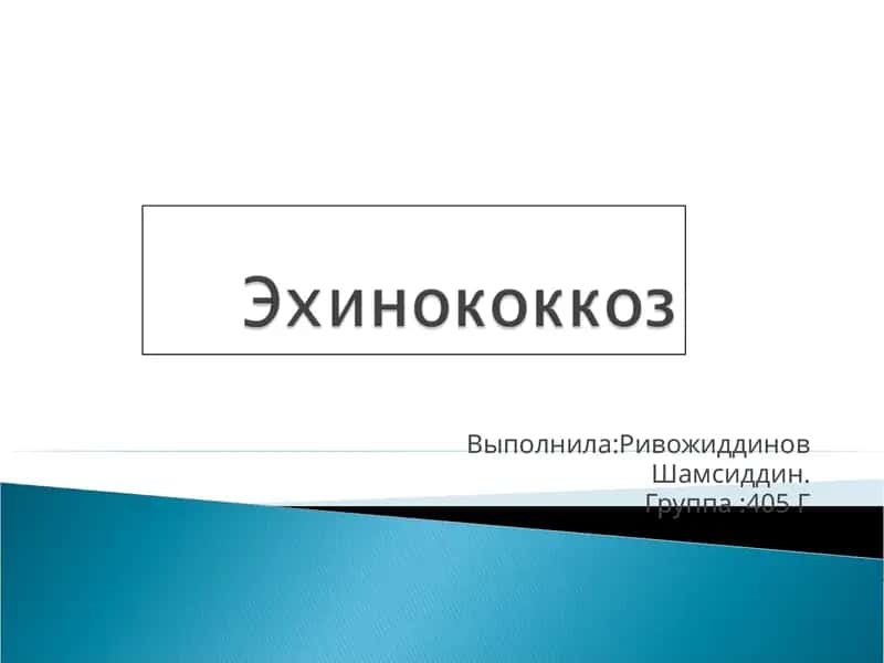 Гельминтоз человека и животных