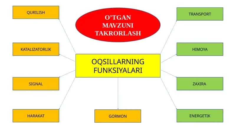 Nuklein kislotalar DNK va RNK (ATF)