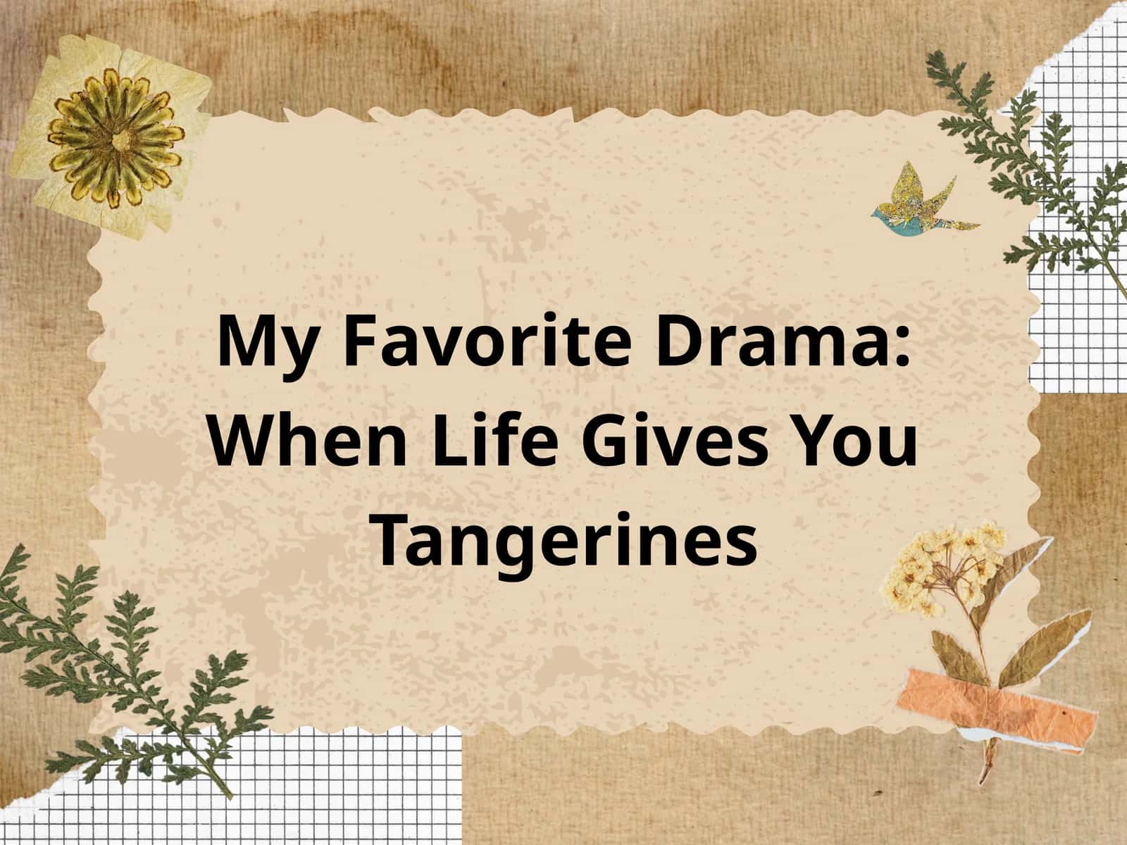 My Favorite Drama: When Life Gives You Tangerines