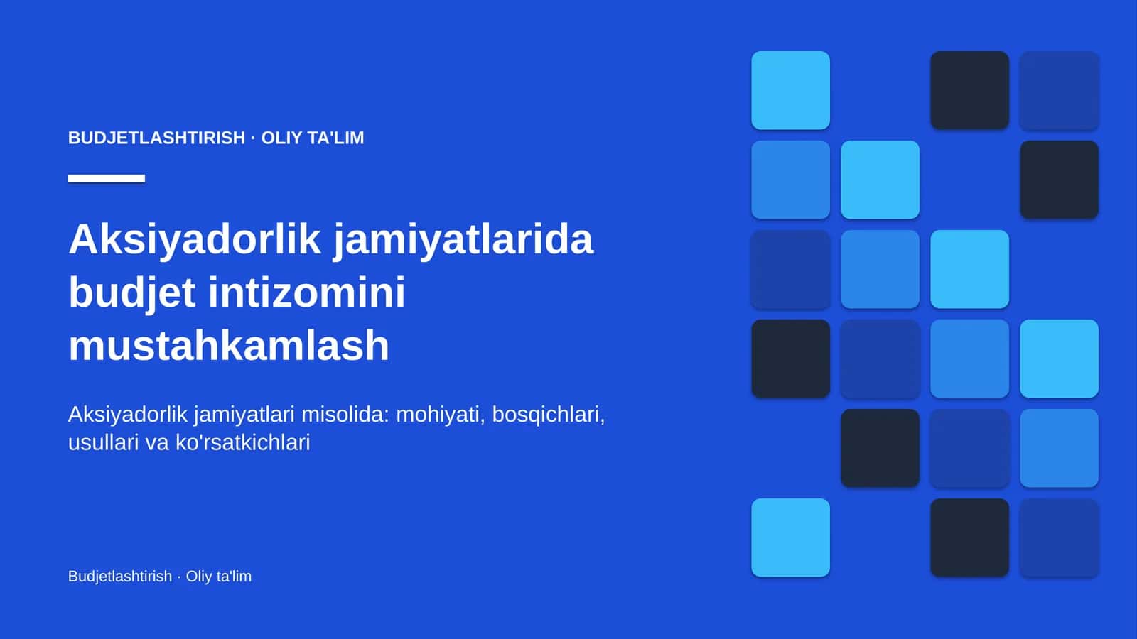 Aksiyadorlik jamiyatlarida budjet intizomini mustahkamlash