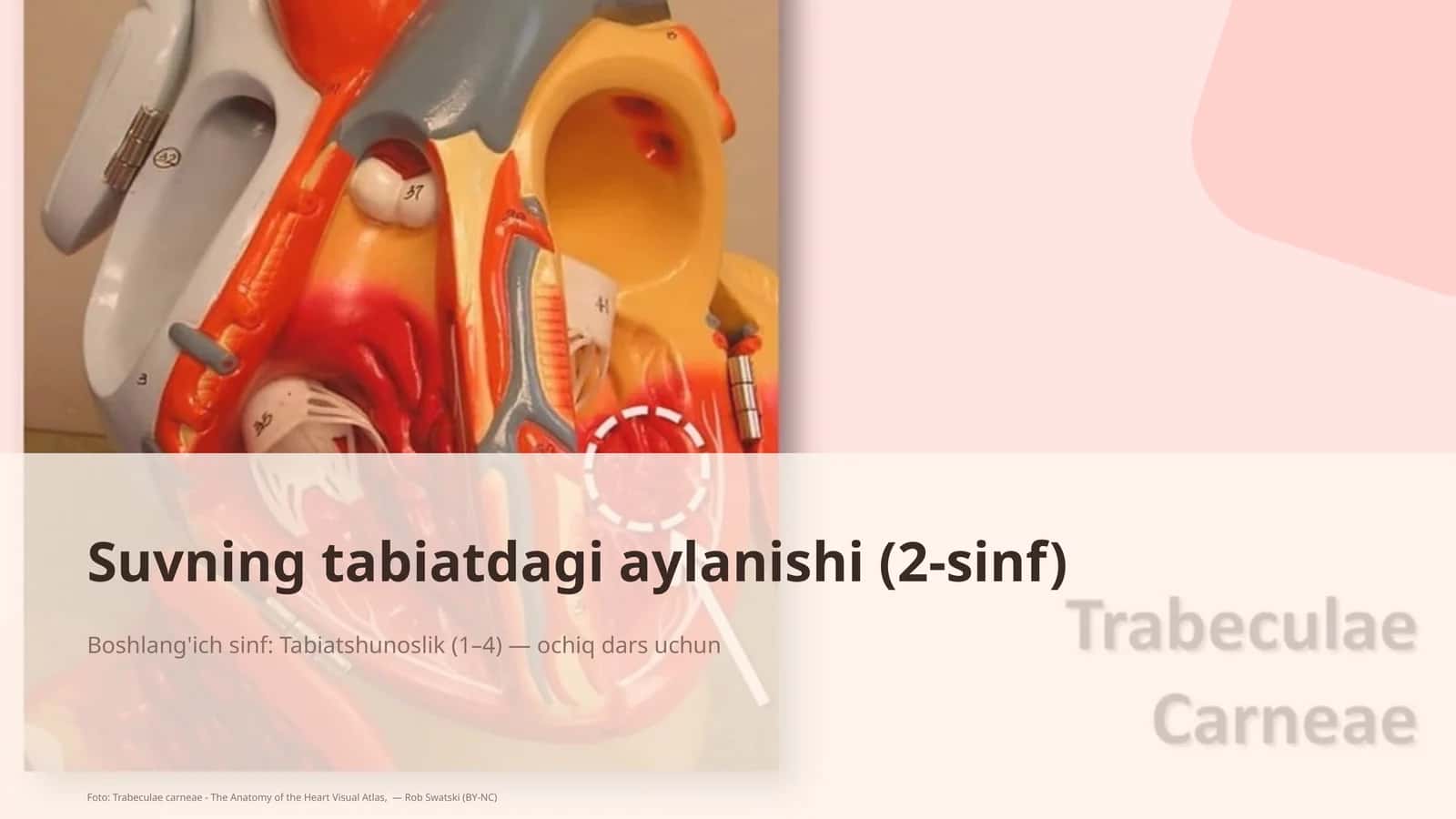 Suvning tabiatdagi aylanishi (2-sinf)