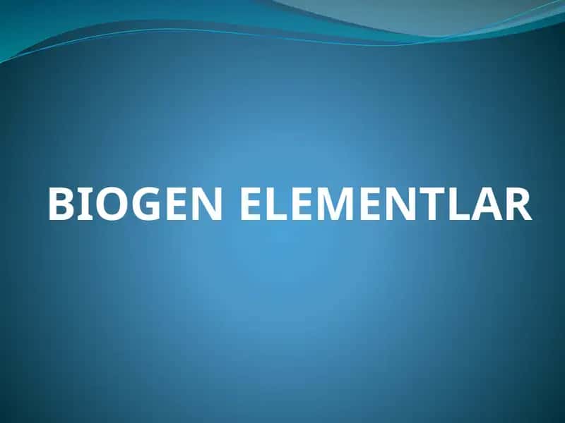 BIOGEN ELEMENTLAR