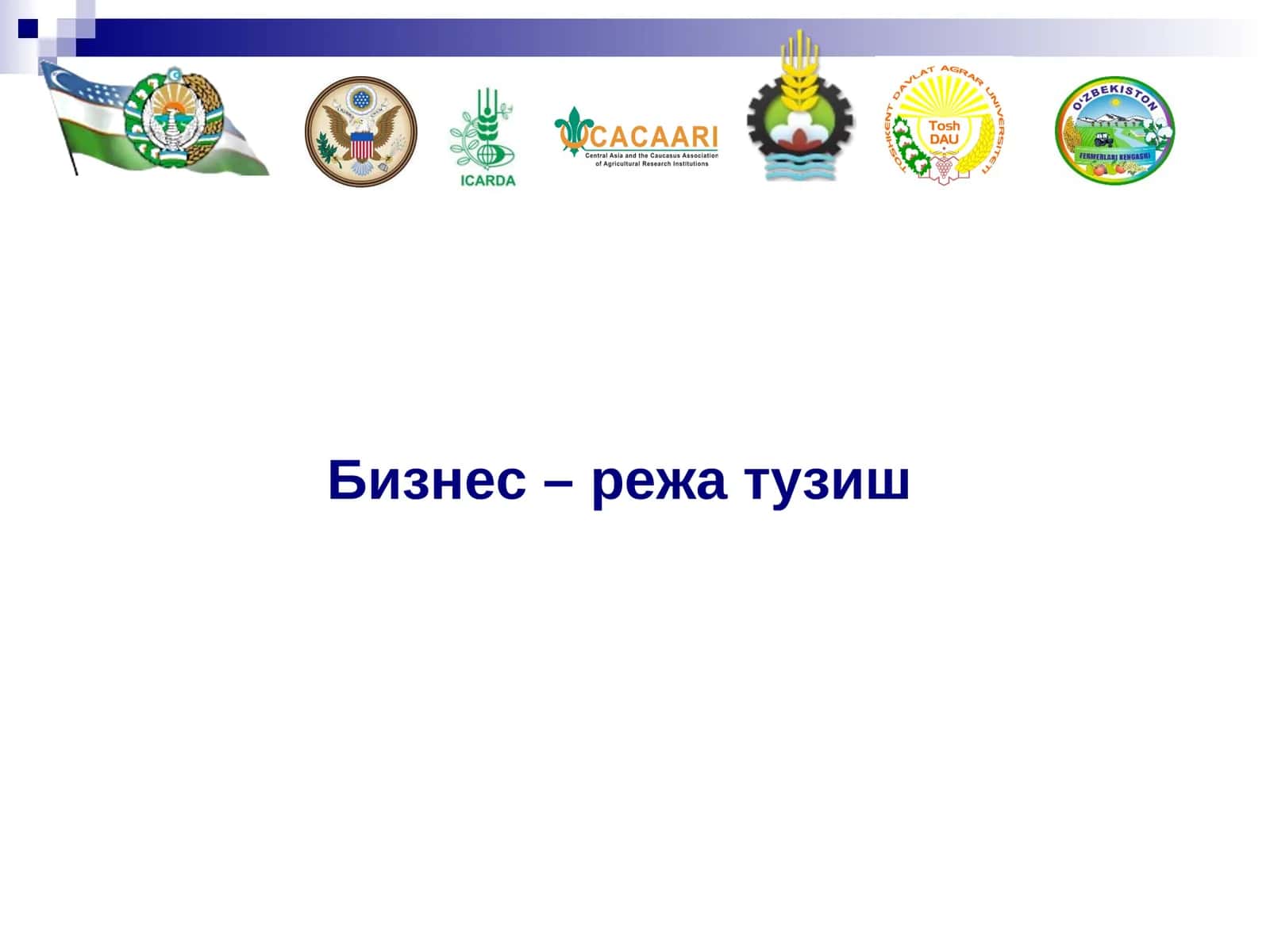 Бизнес-режа тузиш