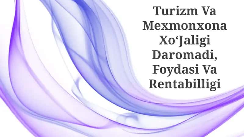 Turizm Va Mexmonxona XoʻJaligi Daromadi, Foydasi Va Rentabilligi