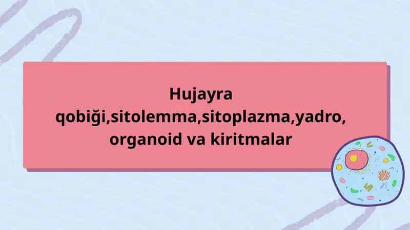 Hujayra qobiği