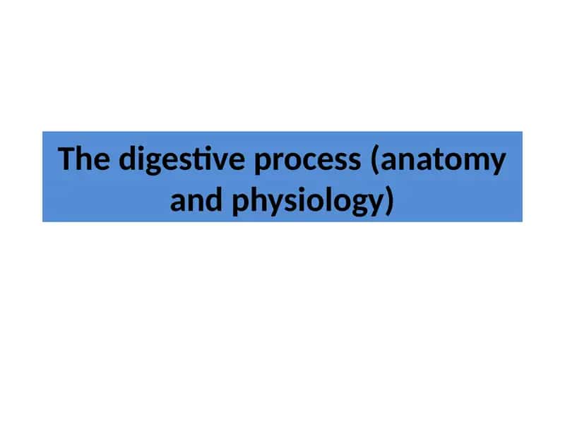 The digestive process (anatomy and physiology)