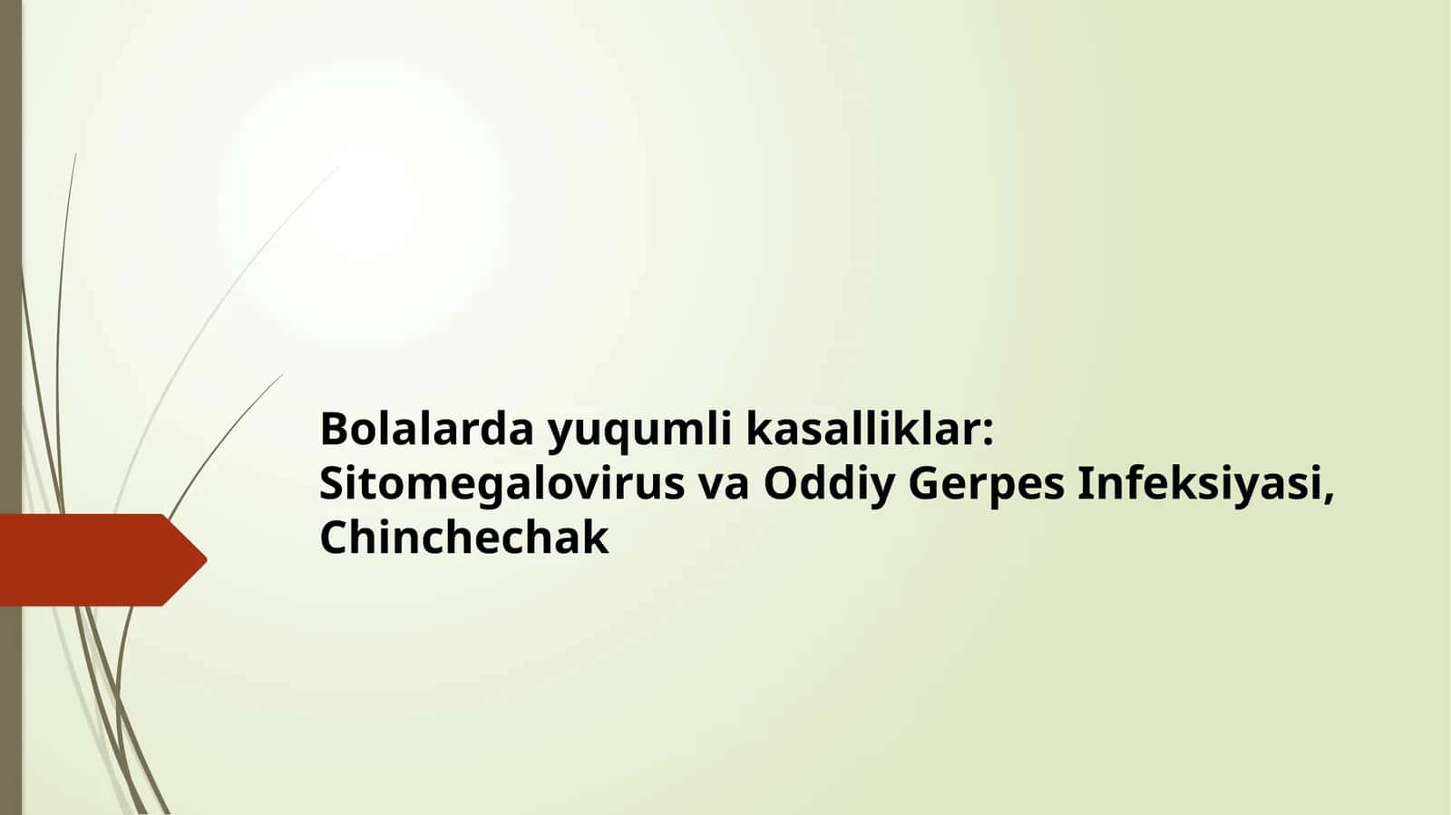 Bolalarda yuqumli kasalliklar: Sitomegalovirus va Oddiy Gerpes Infeksiyasi, Chinchechak