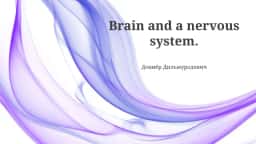 The Brain: A Control Center