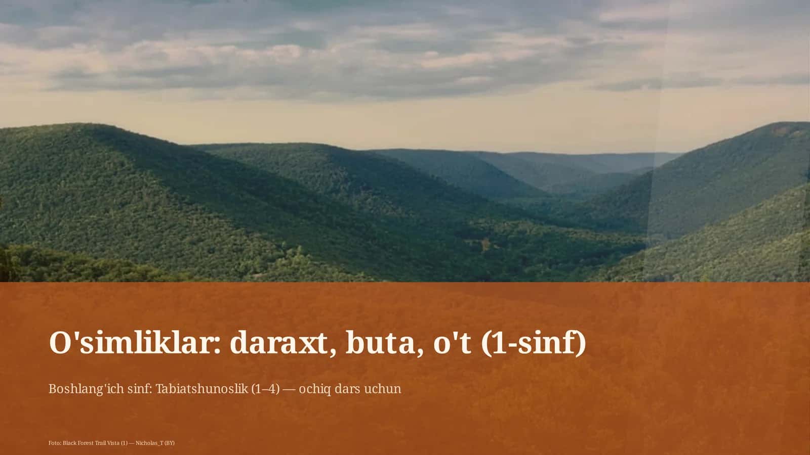 O'simliklar: daraxt, buta, o't (1-sinf)