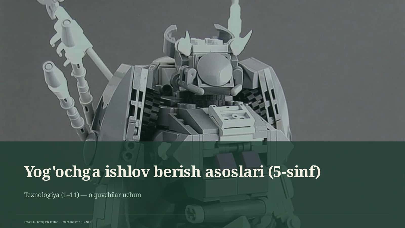 Yog'ochga ishlov berish asoslari (5-sinf)
