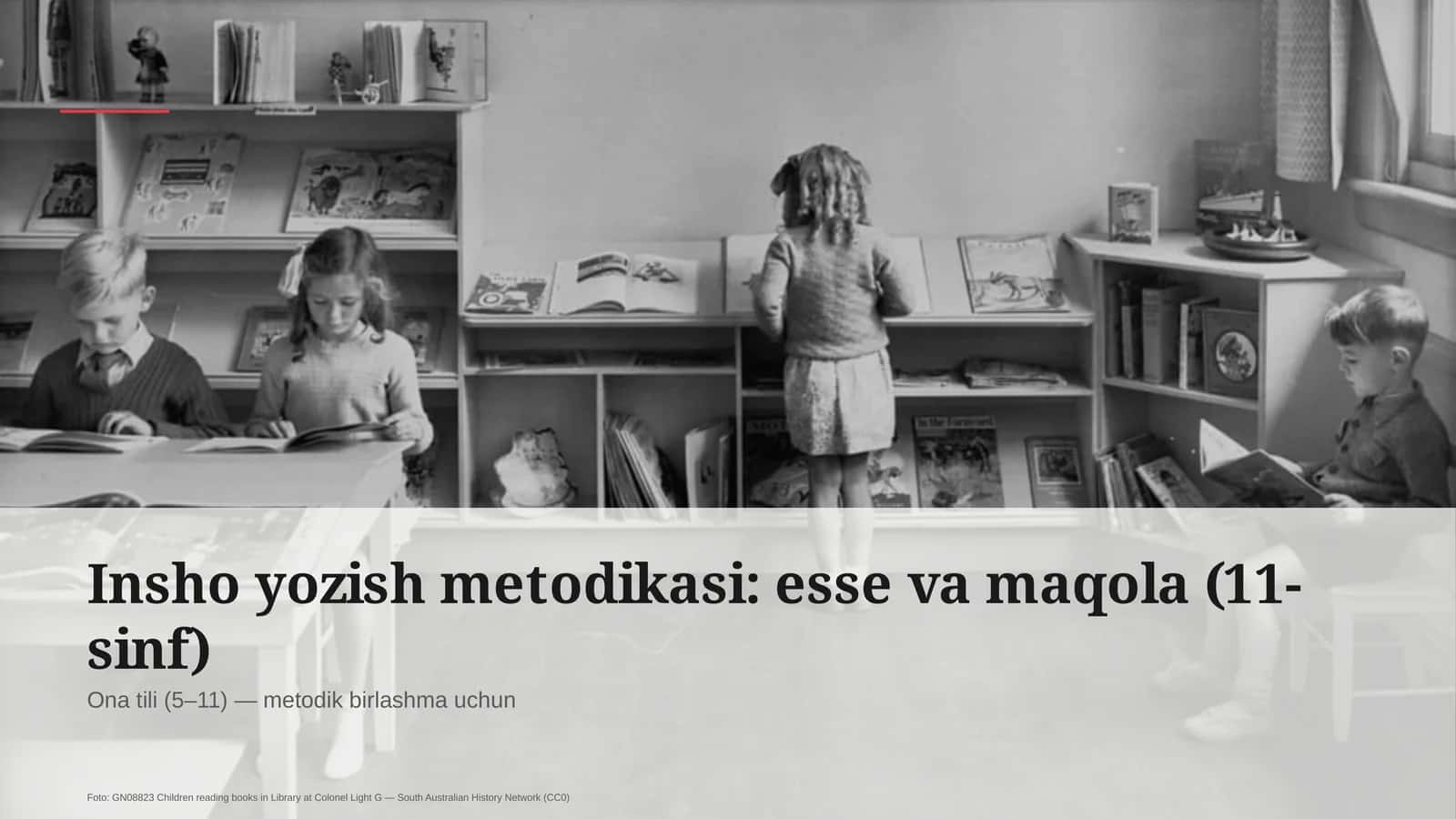 Insho yozish metodikasi: esse va maqola (11-sinf)