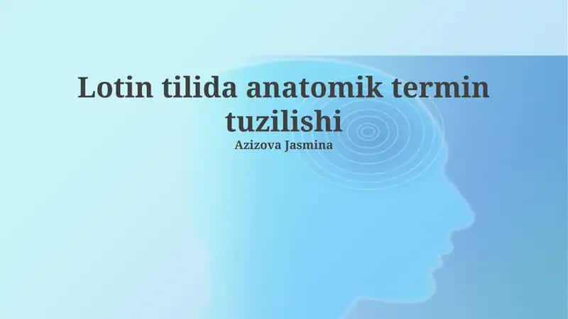 Lotin tilida anatomik termin tuzilishi