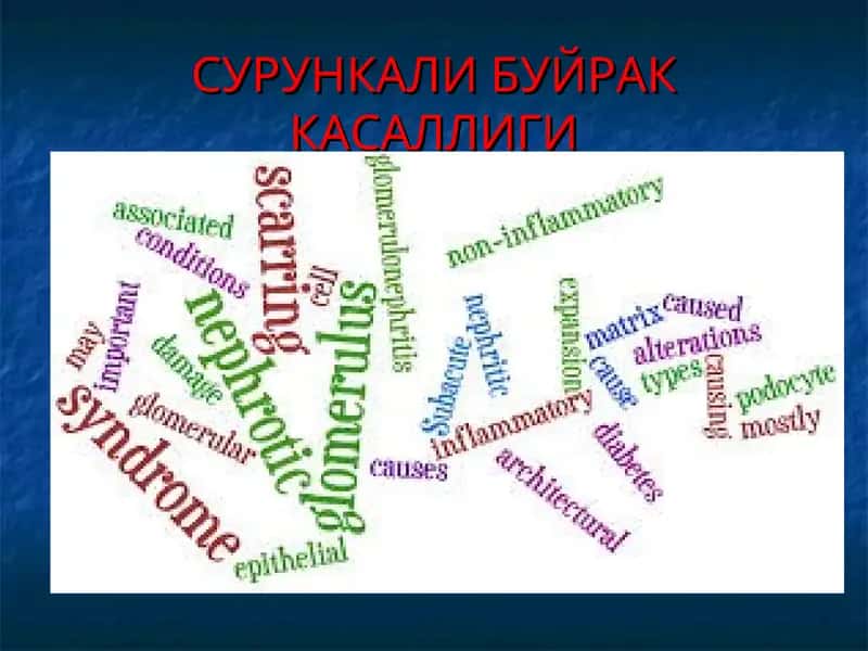 СУРУНКАЛИ БУЙРАК КАСАЛЛИГИ