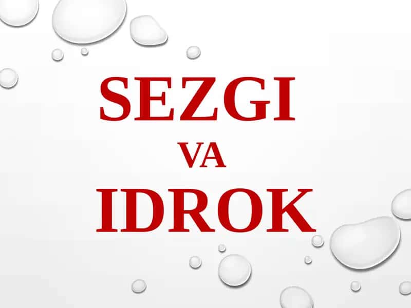 SEZGI VA IDROK