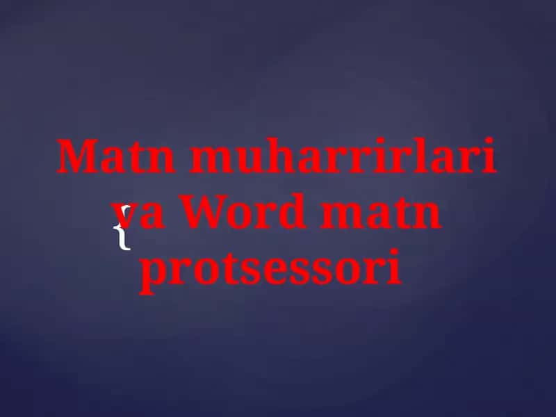 Matn muharrirlari va Wordmatn protsessori
