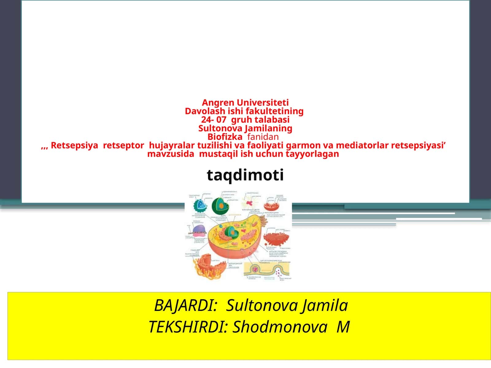 Biofizika fanidan Retseptor hujayralar tuzilishi