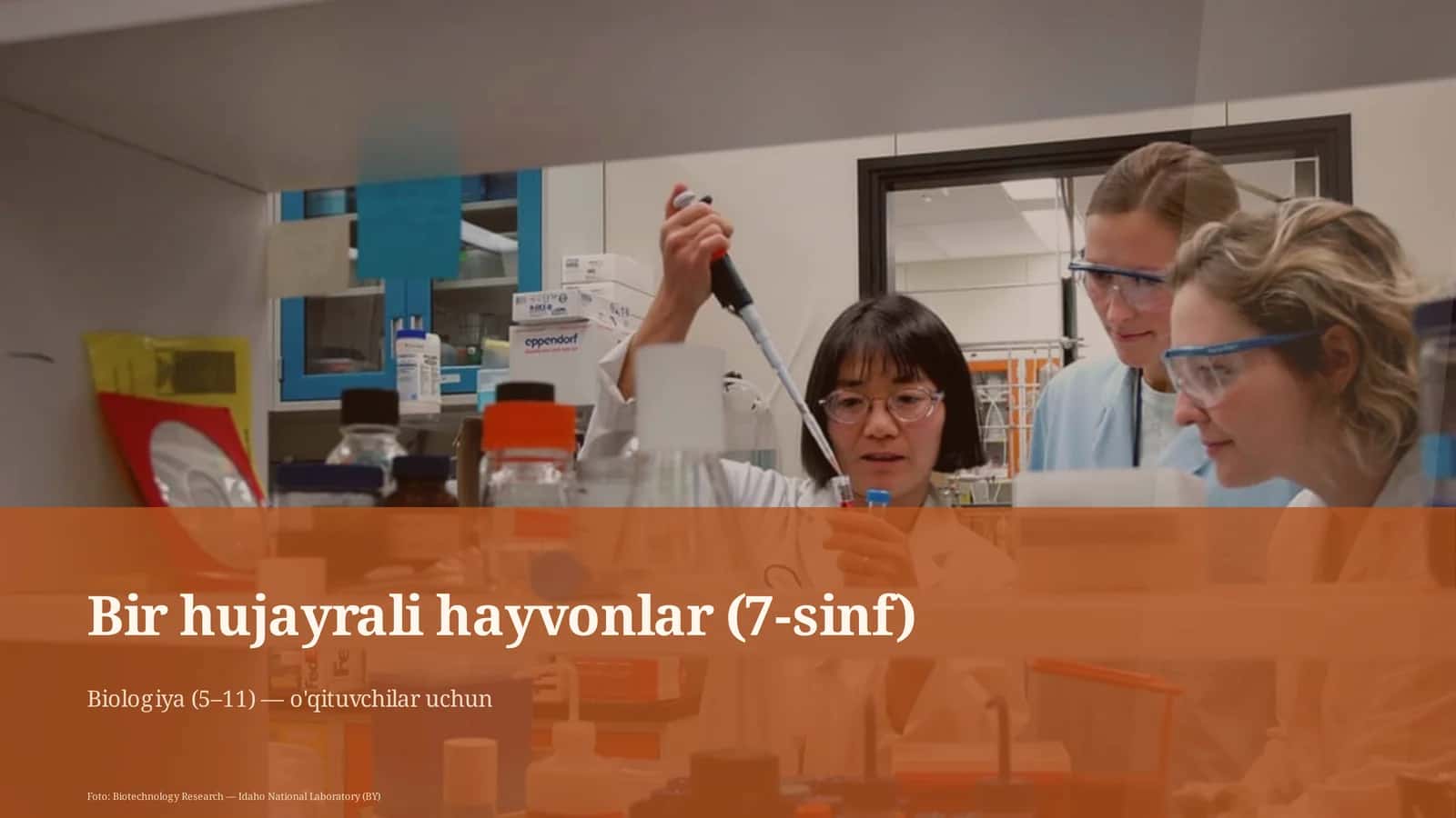 Bir hujayrali hayvonlar (7-sinf)