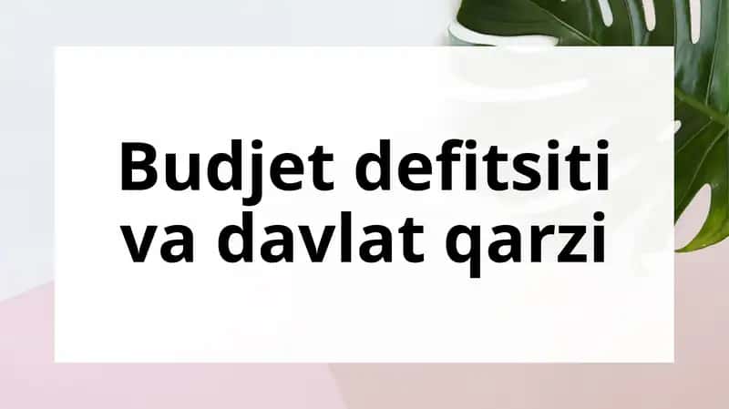 Davlat byudjeti