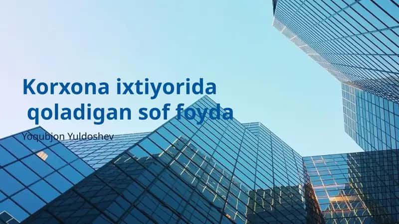 Sof Foyda Tushunchasi