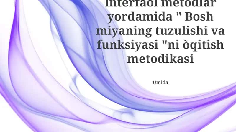 Miya tuzilmasi va funksiyasi (MTF) guruhiy loyihalari