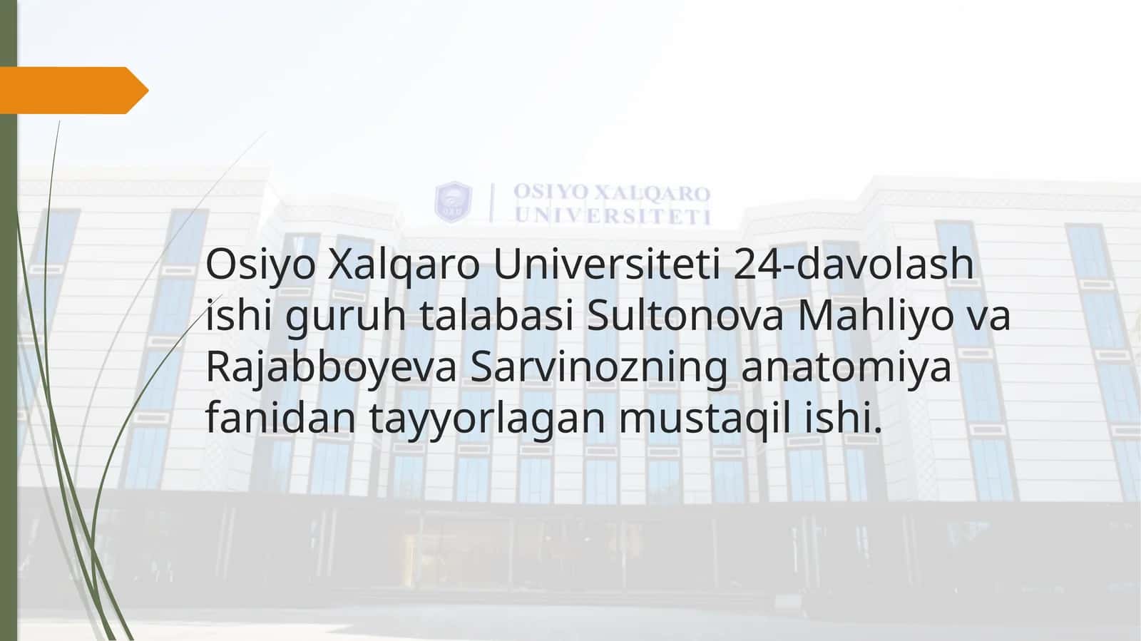 Nafas olish jarayoni. Nafas a'zolarining rentgen anatomiyasi va rivojlanish nuqsonlari