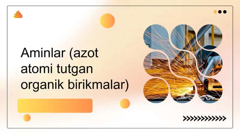 Aminlar