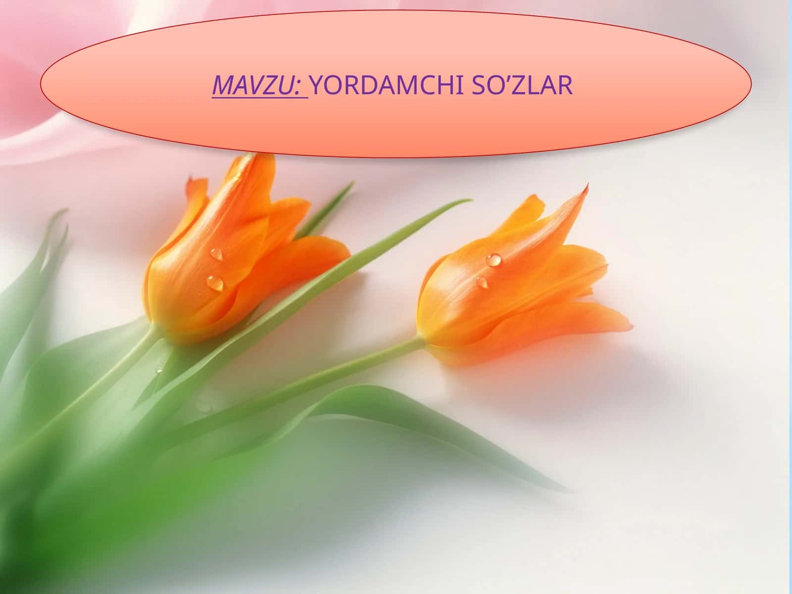YORDAMCHI SO’ZLAR