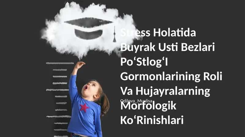 Stress Holatida Buyrak Usti Bezlari PoʻStlogʻI Gormonlarining Roli Va Hujayralarning Morfologik KoʻRinishlari